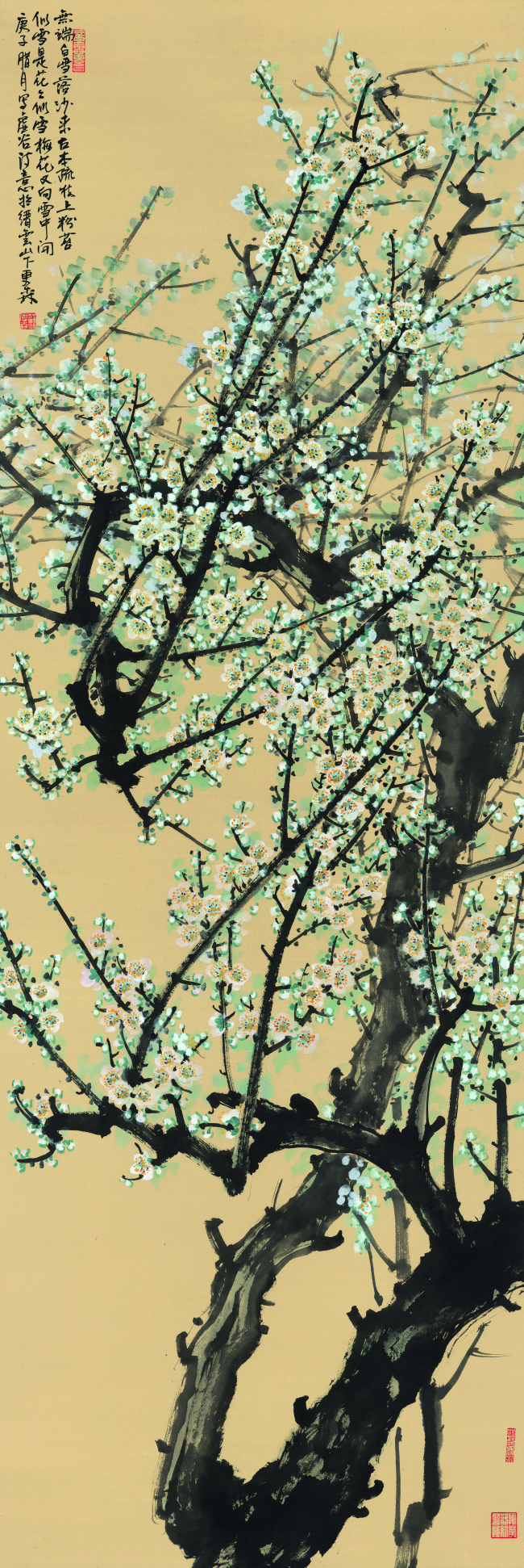 �K�d����÷��ѩ��